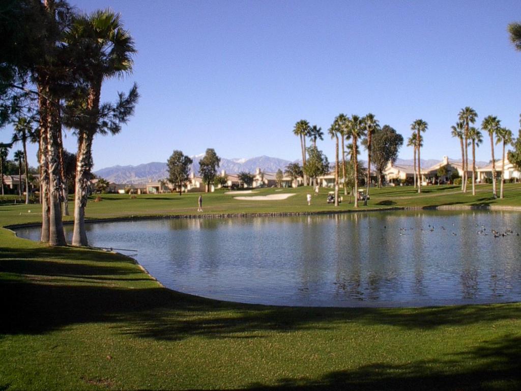 棕榈泉Mesquite Country Club别墅 客房 照片